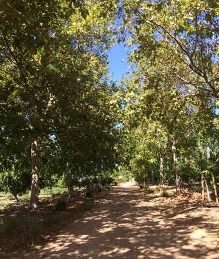 Maison Accueillante A Arles - Jardin, Parking Prive Εξωτερικό φωτογραφία